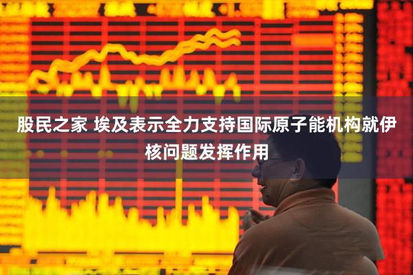 股民之家 埃及表示全力支持国际原子能机构就伊核问题发挥作用