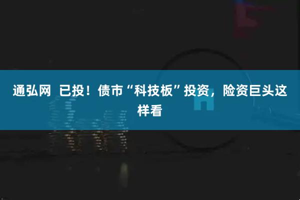 通弘网  已投！债市“科技板”投资，险资巨头这样看